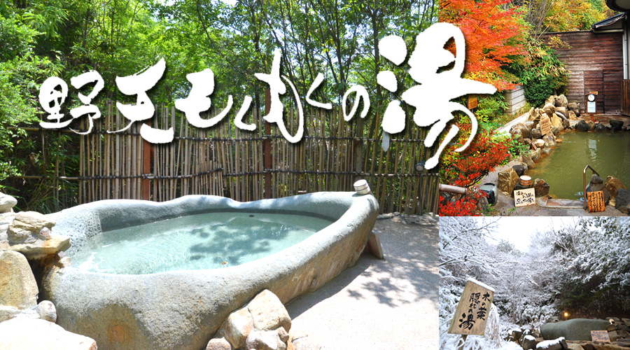 ���������̓�