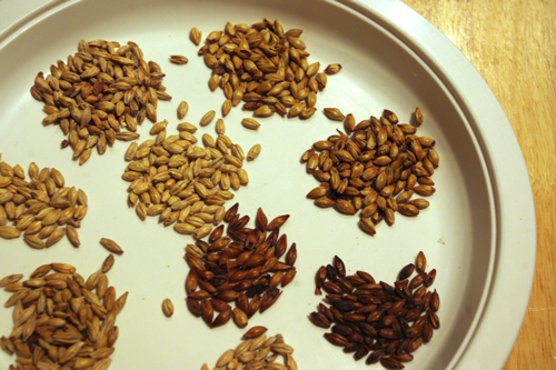 �r�[������