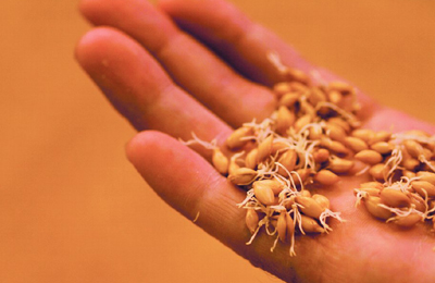 ���N���N�n�r�[��