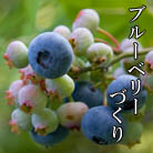 �u���[�x���[