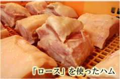 �n���Â���u���[�X�v