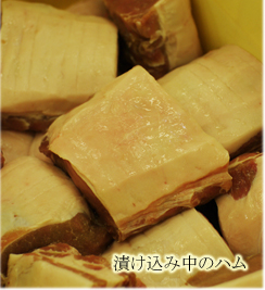 ���Q�P�Â���