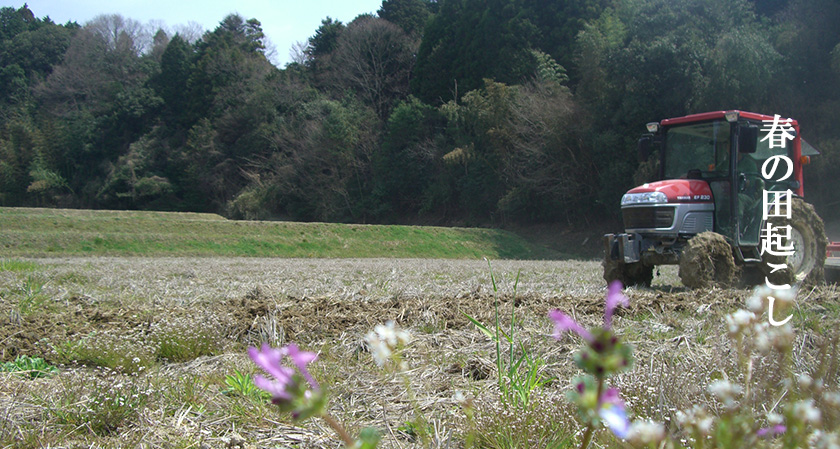 �c�N����