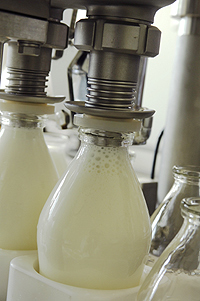 �~���N�v�����g