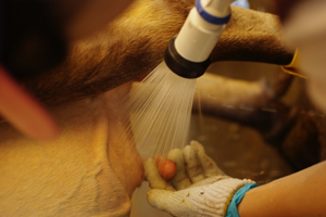 ����O�̐��