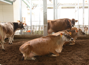 �t���[�o�[��