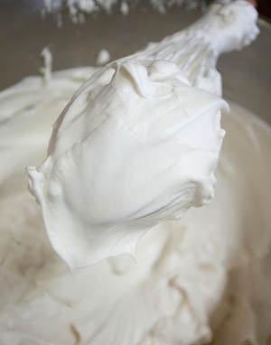 �������Q�Â���P