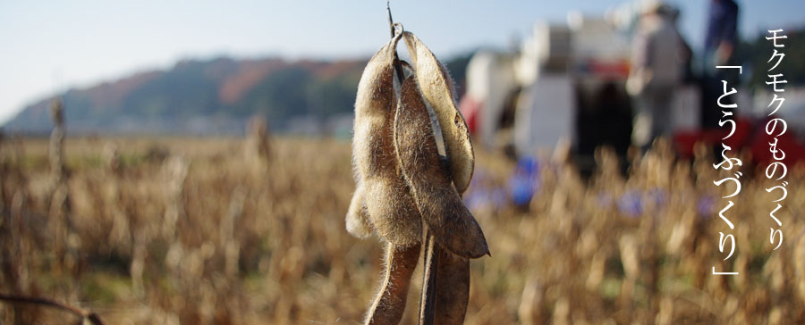 �Ƃ��ӂÂ���