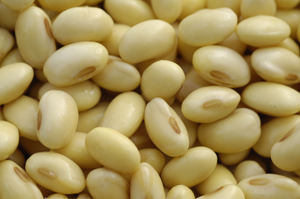 ���N���N�n�r�[��