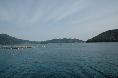 �r�[���z�b�v